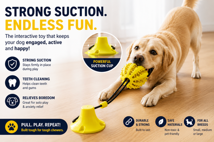 Interactive Suction Cup Dog Toy