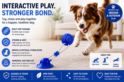 Interactive Suction Cup Dog Toy